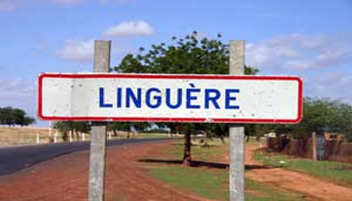 Linguère
