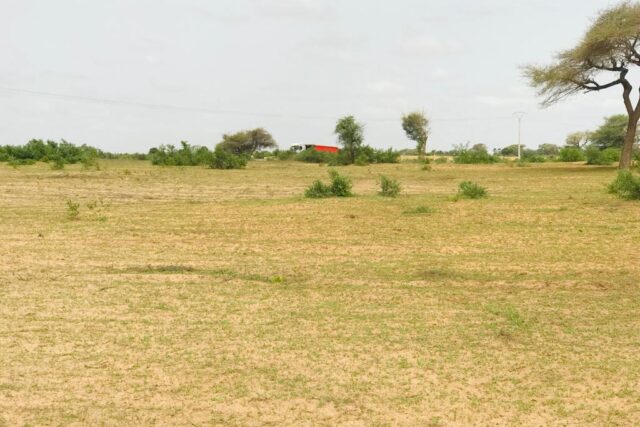 Protégé : Terrain de 41 hectares à Touba Toul