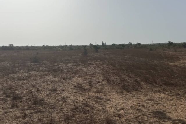 Protégé : Terrain de 10 hectares vers Notto Gouye Diama