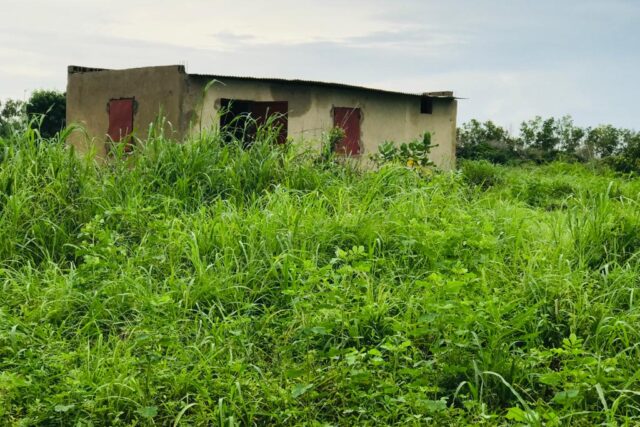 Verger 2,12 ha vers Diender