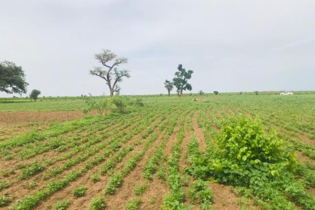 Protégé : Terrain de 1,87 hectare vers Tassette