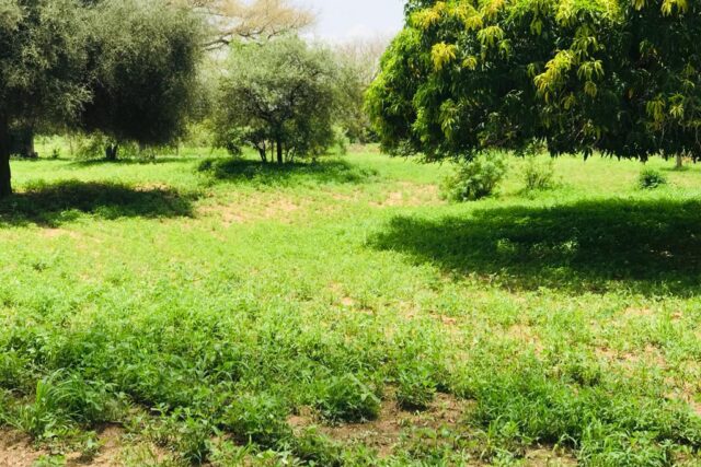 Protégé : Terrain de 1,8 hectare vers Tassette