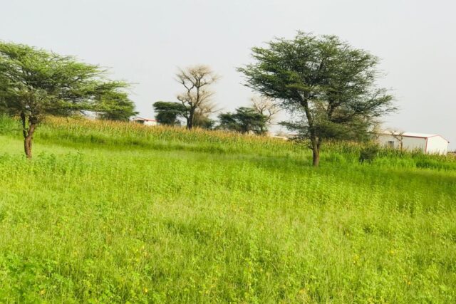 Protégé : Terrain de 8,6 hectares non loin du  PRODAC