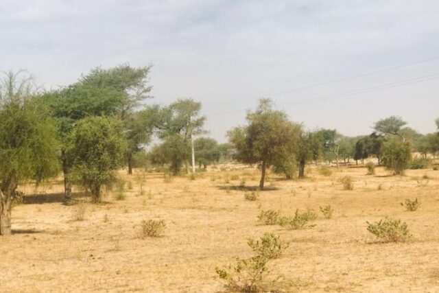 Protégé : Terrain de 3 hectares vers Koul