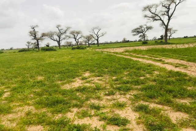 Protégé : Terrain de 9739 m² vers Tassette