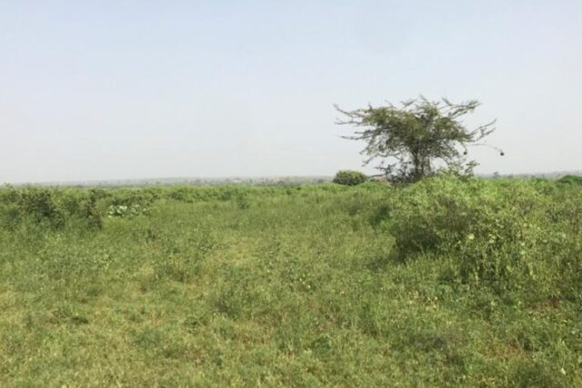 Protégé : Terrain de 1,55 hectare à Mont Rolland