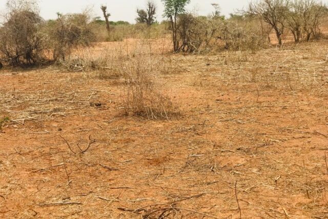 Terrain de 9061 m² vers Sindia