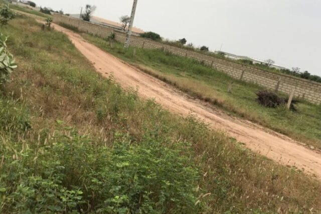 Protégé : Terrain de 1 hectare à Sandiara