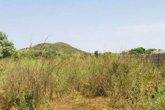 Protégé : Terrain de 4 hectares à Diass