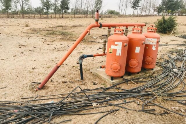 Protégé : Verger Agricole de 07 hectares à Diama