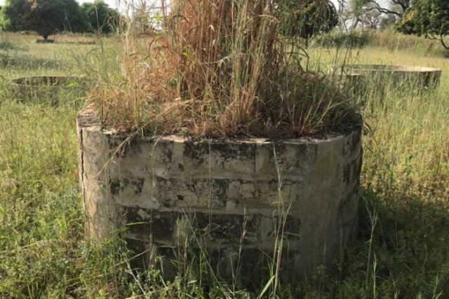 Verger Fruitier de 9051 m² vers Fatick