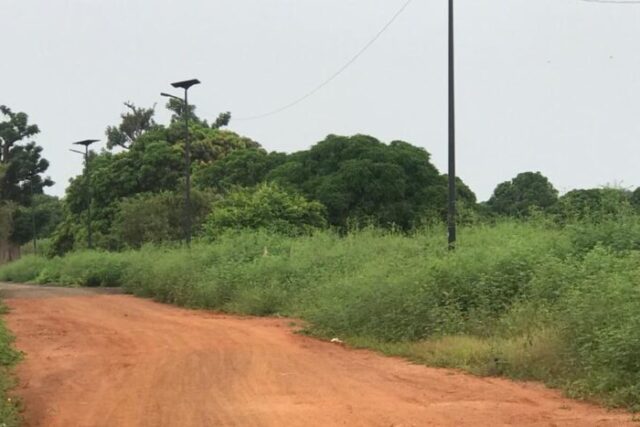 Protégé : Verger Fruitier de 8,23 hectares à Sindia