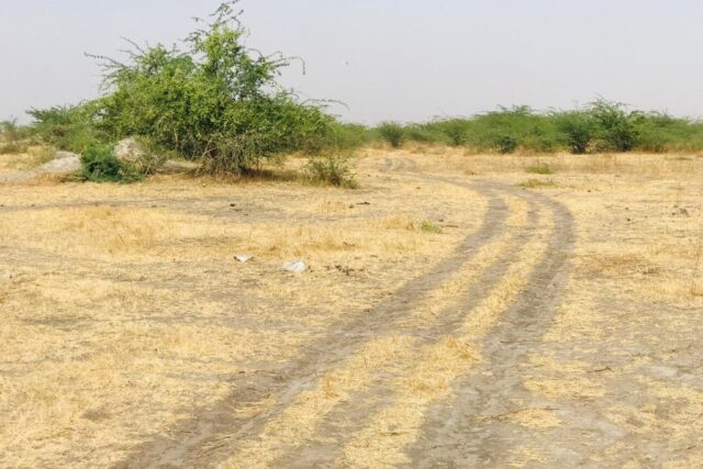 Terrain de 9115 m² vers Nguéniène