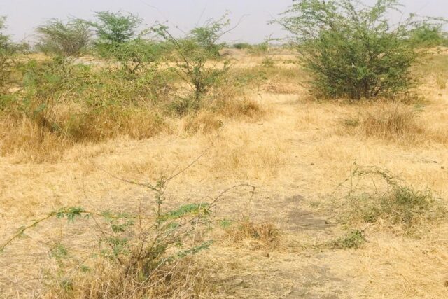 Protégé : Terrain de 9419 m² vers Nguéniène