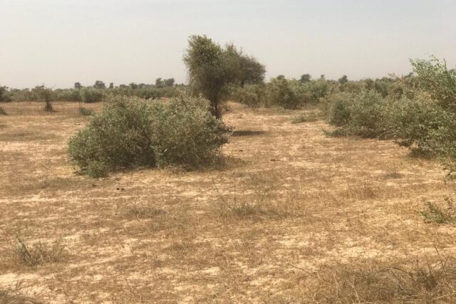 Protégé : Terrain de 33,47 hectares à Koul