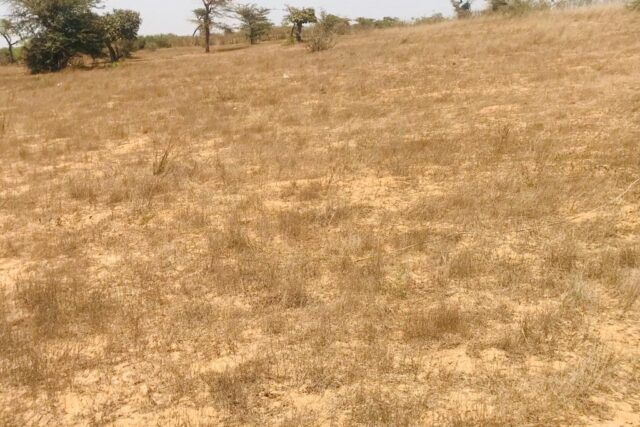 Terrain  de 1,27 hectare vers Mont Rolland