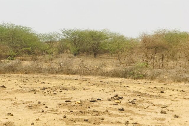 Protégé : Terrain de 1 hectare à Popenguine