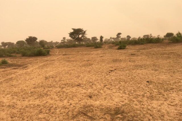 Protégé : Terrain de 3,5 hectares à Thiénaba