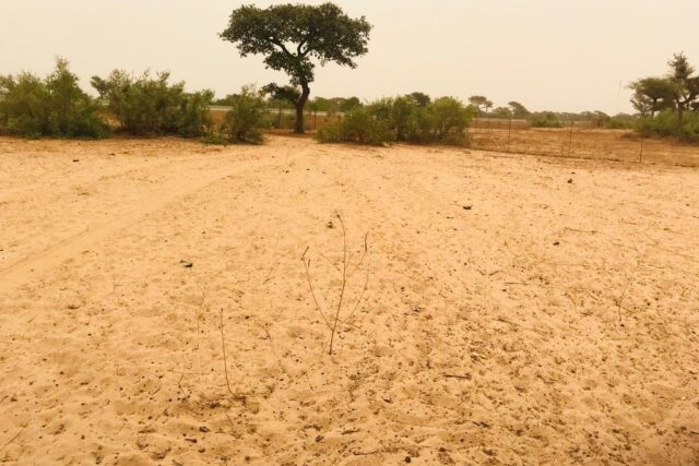 Protégé : Terrain de 23 hectares à Touba Toul