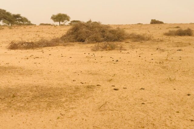 Terrain de 3,35 hectares vers Diama