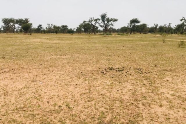 Terrain de 7379 m² vers Sandiara