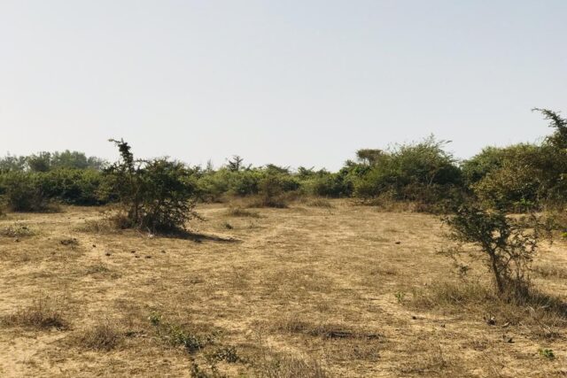 Terrain de 1 hectare vers Diender