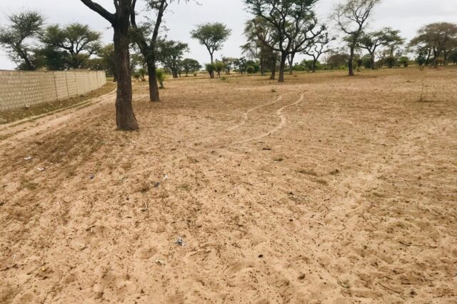 Protégé : Terrain de 3326 m² à Sandiara