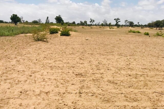 Protégé : Terrain  de 6346 m² à Sandiara