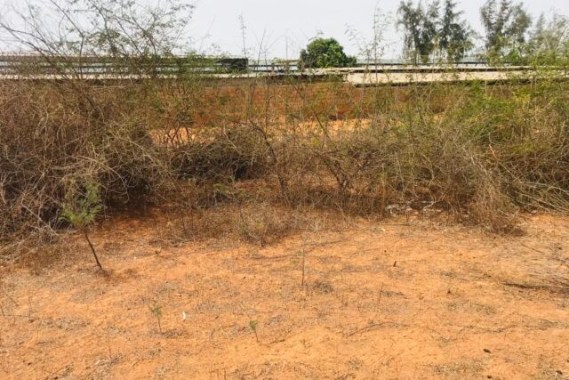 Terrain de 8343 m² vers Keur Moussa