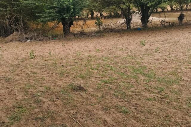 Protégé : Terrain de 4286 m² vers Sandiara