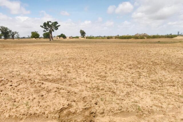 Protégé : Terrain de 1,04 hectare vers Sandiara