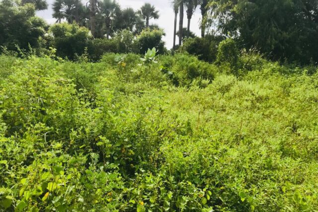 Protégé : Terrain de 2252 m² vers Fandène