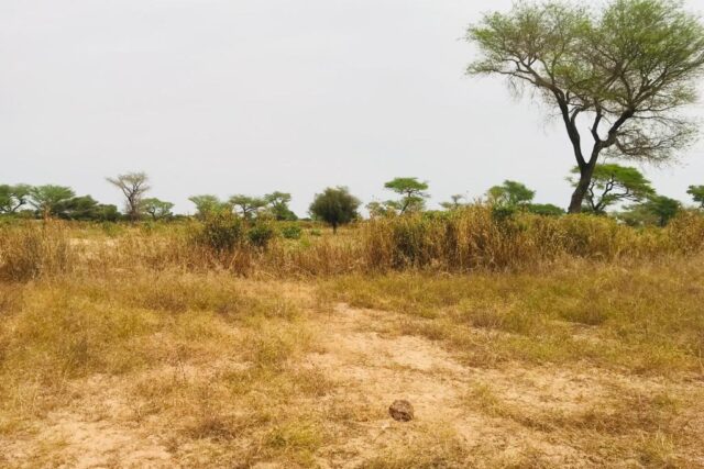 Protégé : Terrain de 7397 m² vers Touba Toul