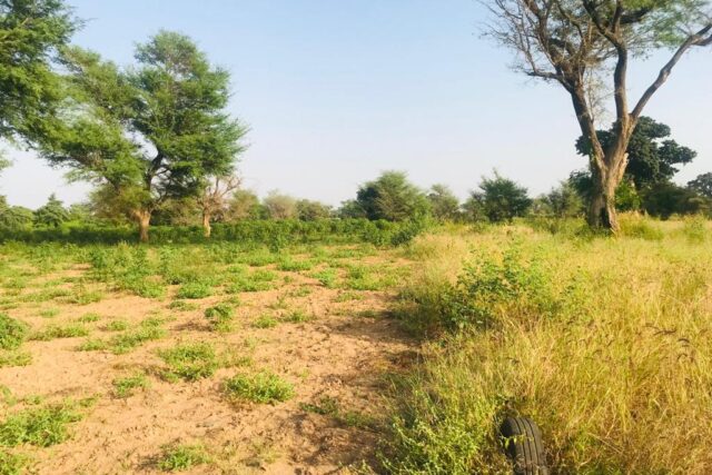 Protégé : Verger Agricole de 1,91 hectare à Tassette