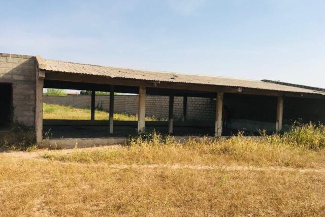 Protégé : Ferme Avicole de 1,40 hectare à Notto Diobass