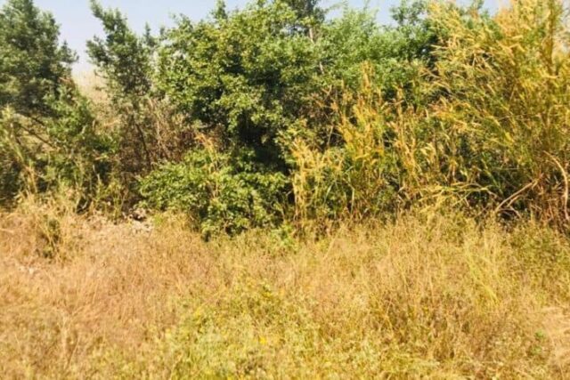 Terrain de 1,18 hectare vers Tassette