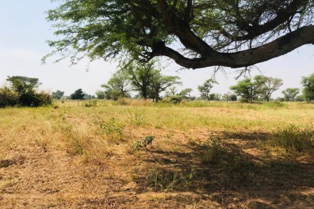 Protégé : Terrain de 1,31 hectare vers Tassette