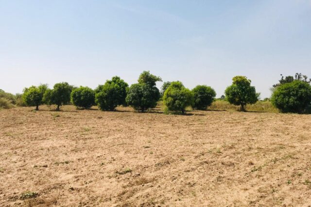 Protégé : Ferme Avicole de 8457 m² vers Fandéne