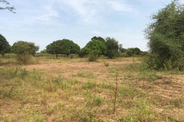 Protégé : Verger Fruitier de 6292m² vers Fandéne