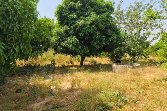 Ferme Avicole de 5260 m² vers Fandene