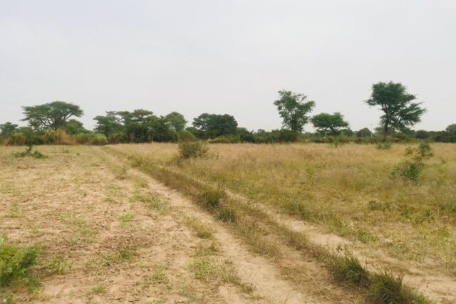 Protégé : Terrain de 1,91 hectare vers Notto Diobass