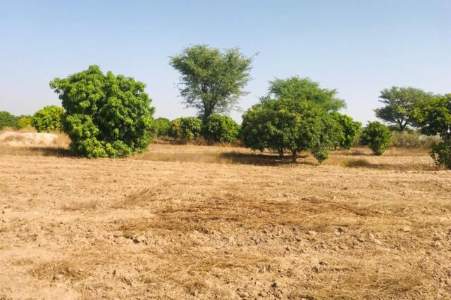 Verger Agricole de 3,08 hectares vers Tassette