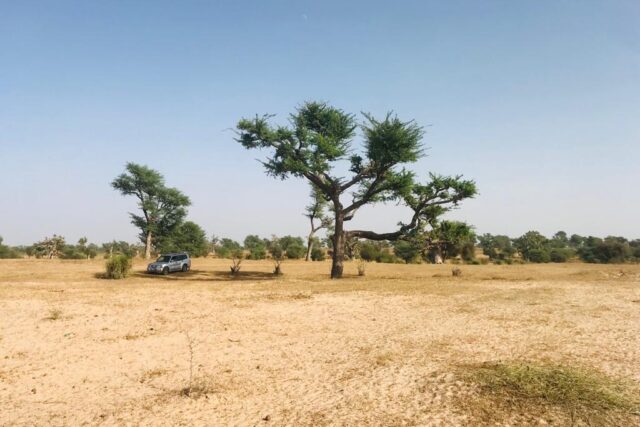 Protégé : Terrain de 3,06 hectares à Touba Toul