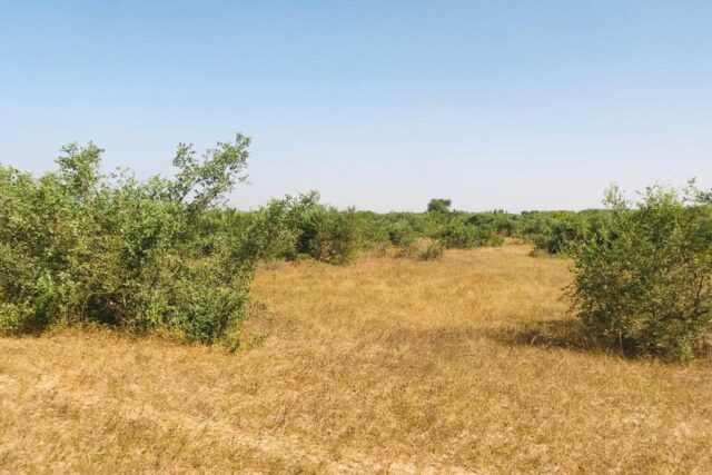 Terrain de 7662 m² vers Thiénaba