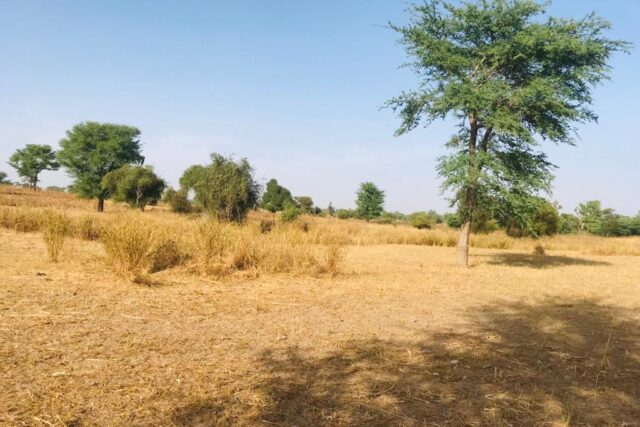 Protégé : Terrain de 1 hectare à Touba Toul