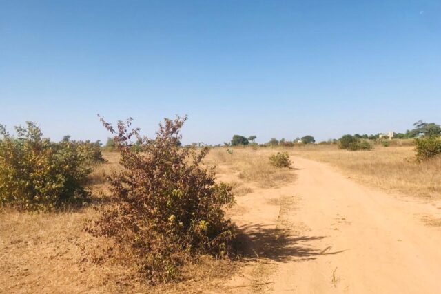 Terrain de 1,91 hectare vers Notto Diobass