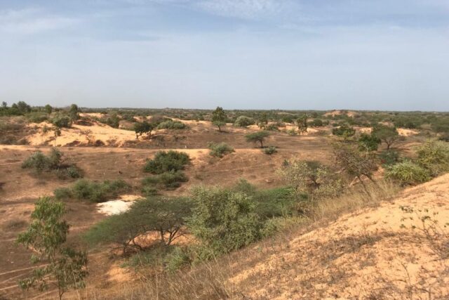 Terrain de 1,59 hectare à Diokoul Diawrigne