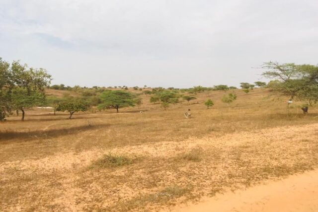 Protégé : Terrain  de 9,7 hectares vers Thiep