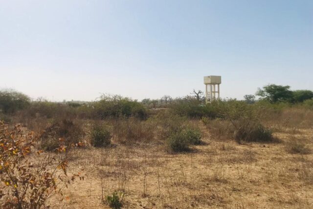 Protégé : Terrain de 1,18 hectare vers Keur Moussa