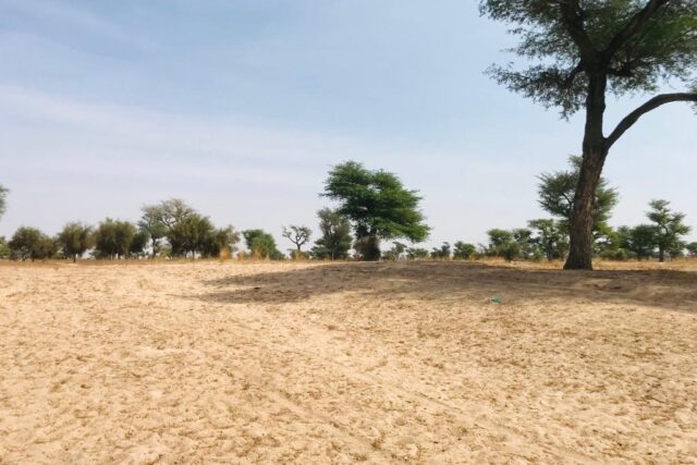 Protégé : Terrain de 1,55 hectare vers Touba Toul